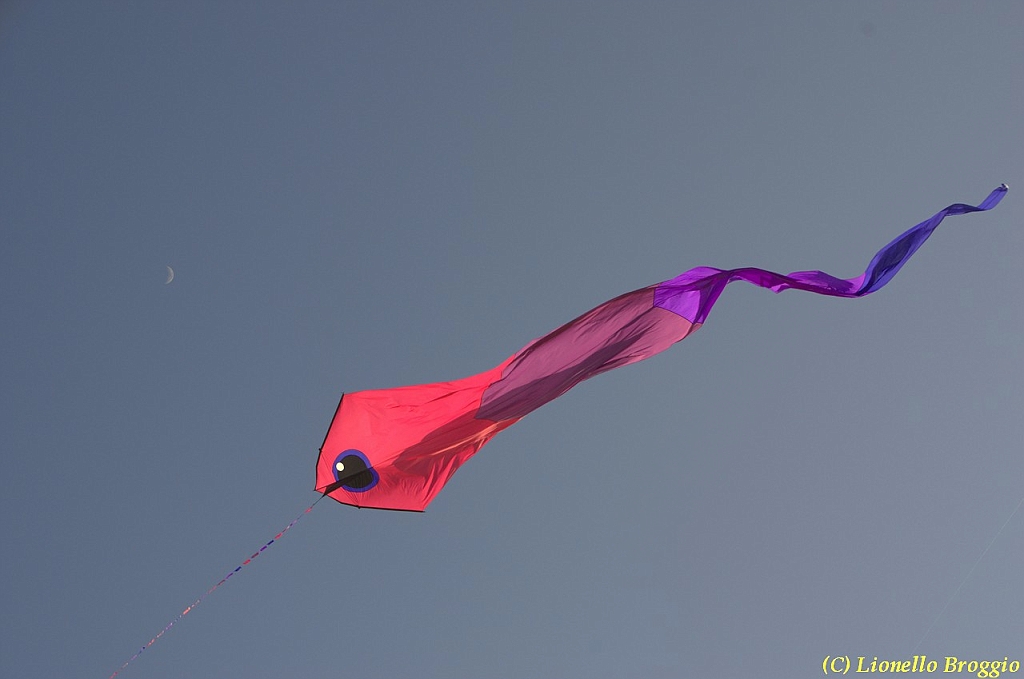 32 FESTIVAL CERVIA 2012 - 059.jpg